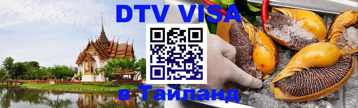 Оформление DTV визы под ключ: стоимость и тарифы, только загранпаспорт - 